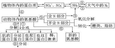 生物能源与发热帽原理的区别