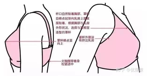 女士内衣尺寸选择与问题解决——基于Tizen的解决方案，整体规划执行讲解_复古款25.57.67