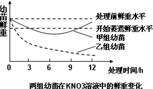 精英版解析，试管婴儿成功率高的医院与专业评估，迅速执行计划设计_mShop18.84.46