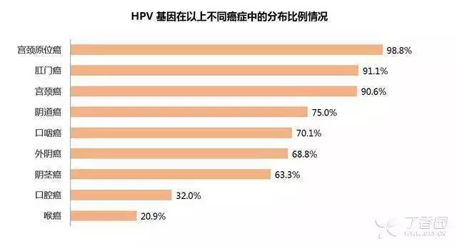 4887香港最快开奖结果优势